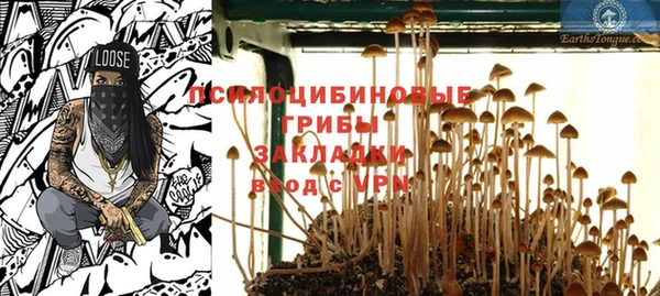 марки lsd Инсар