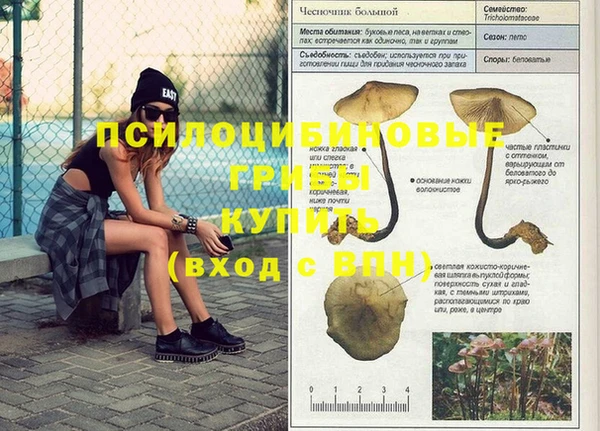 альфа пвп Иннополис