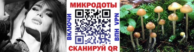 Купить  Бирюсинск  Псилоцибиновые грибы ЛСД 